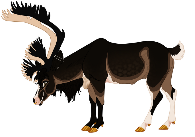 Tolvurn [owned by K]