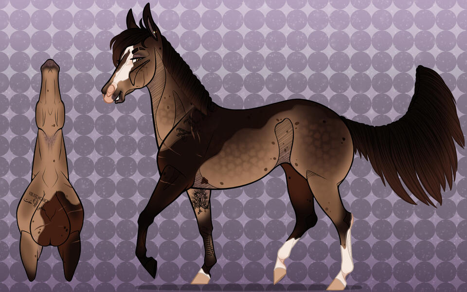 Zyler [Owned by Makky]