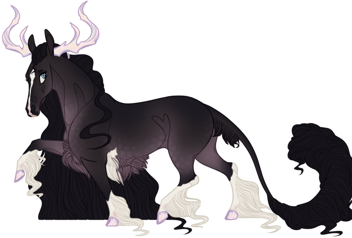 Countess Nora [owned by Hydrus]