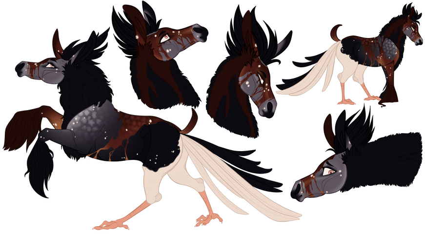 Luchesi [owned by Tiyre]